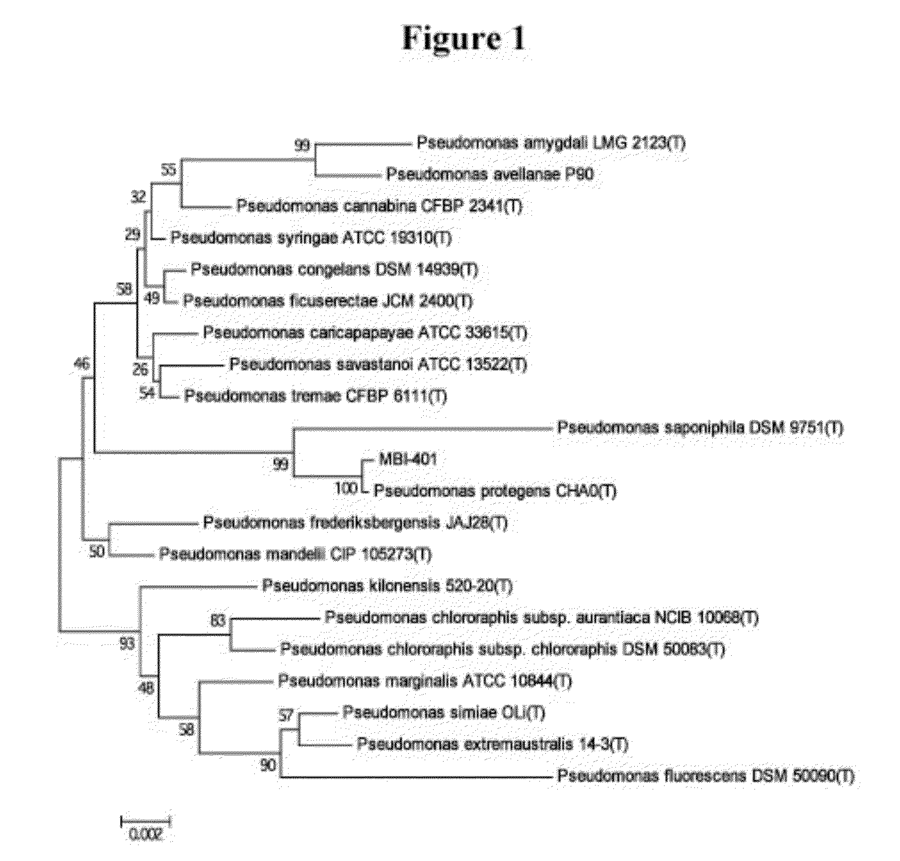 Chemical and biological agents for the control of molluscs