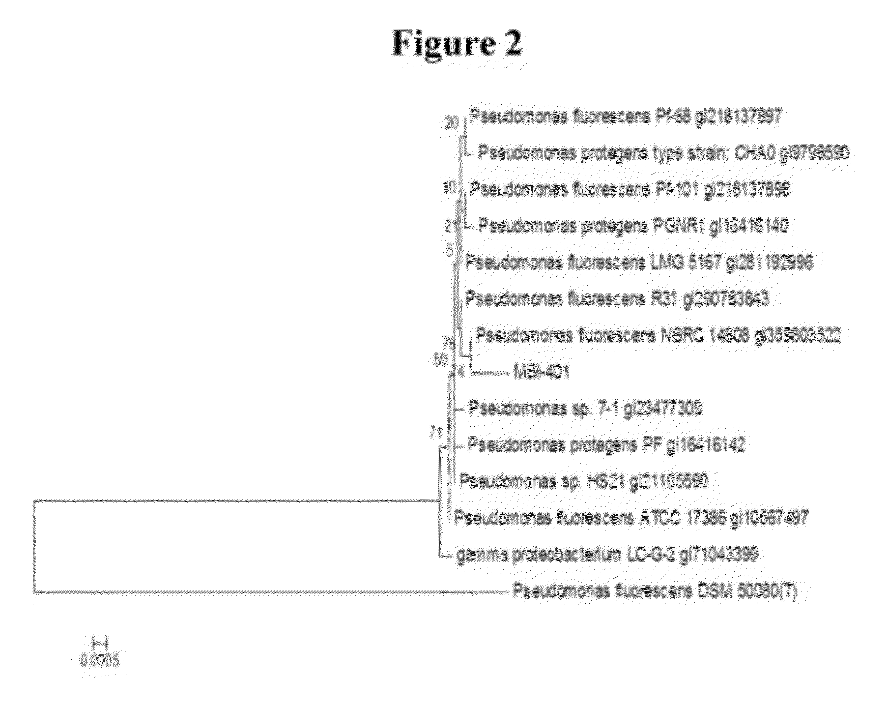 Chemical and biological agents for the control of molluscs