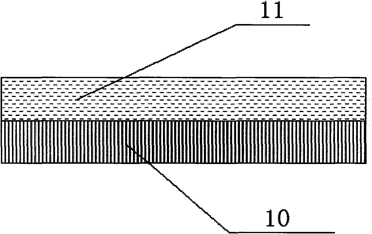 Silicon carbide ion activation annealing device and silicon carbide ion activation annealing method