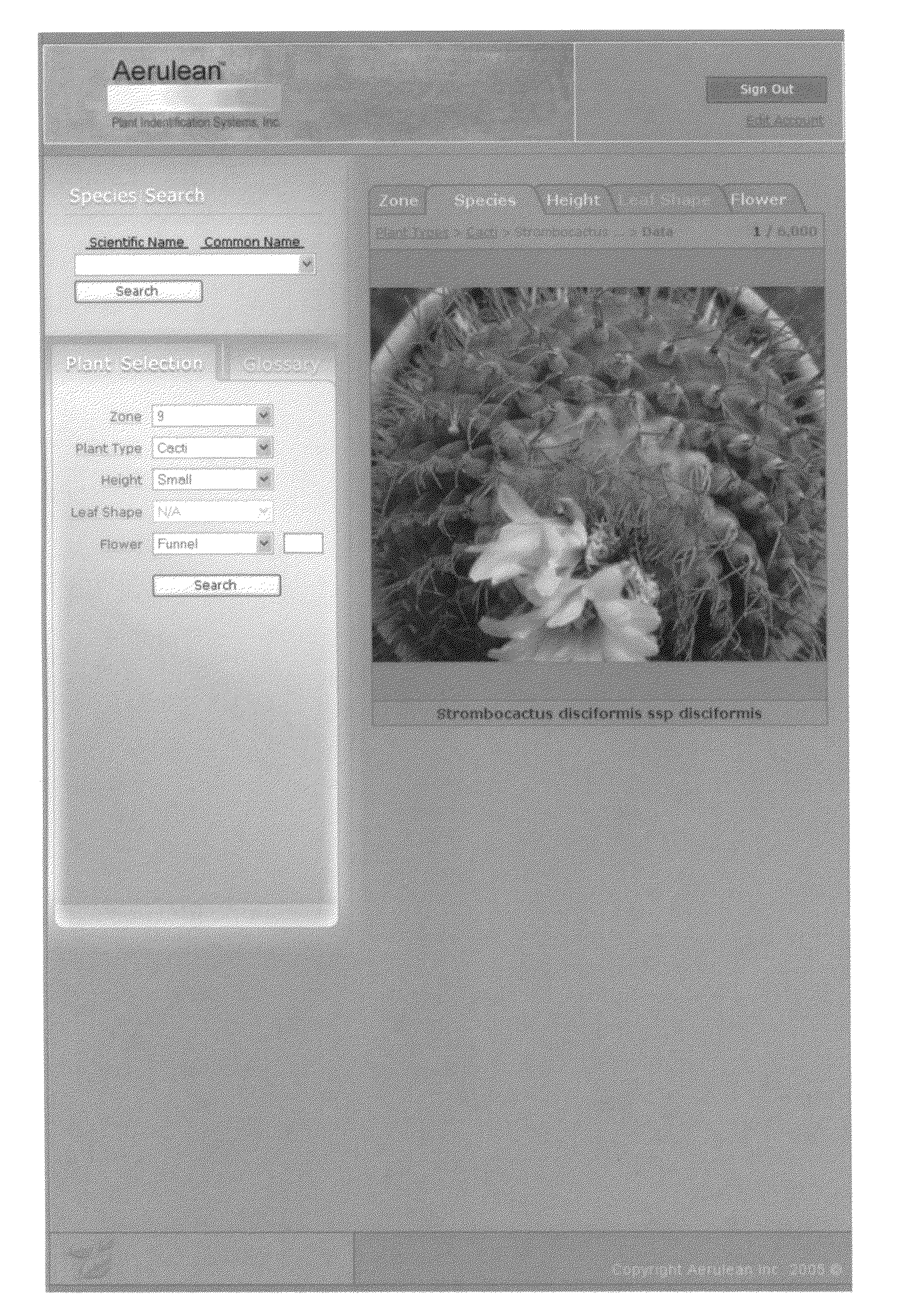 System and method for plant selection