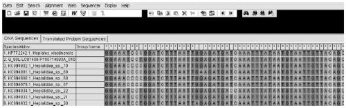 DNA bar code composition for identifying origin of cordyceps sinensis and application of DNA bar code composition