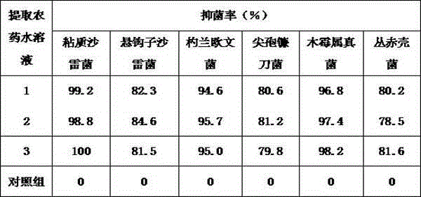 Pesticide for preventing and treating corm rottenness pathogen of saffron crocus as well as preparation and using methods of pesticide