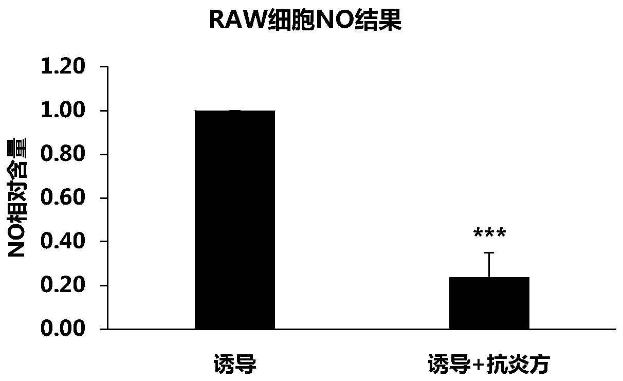 Traditional Chinese medicine composition and application thereof in preparing drugs for treating rhinitis