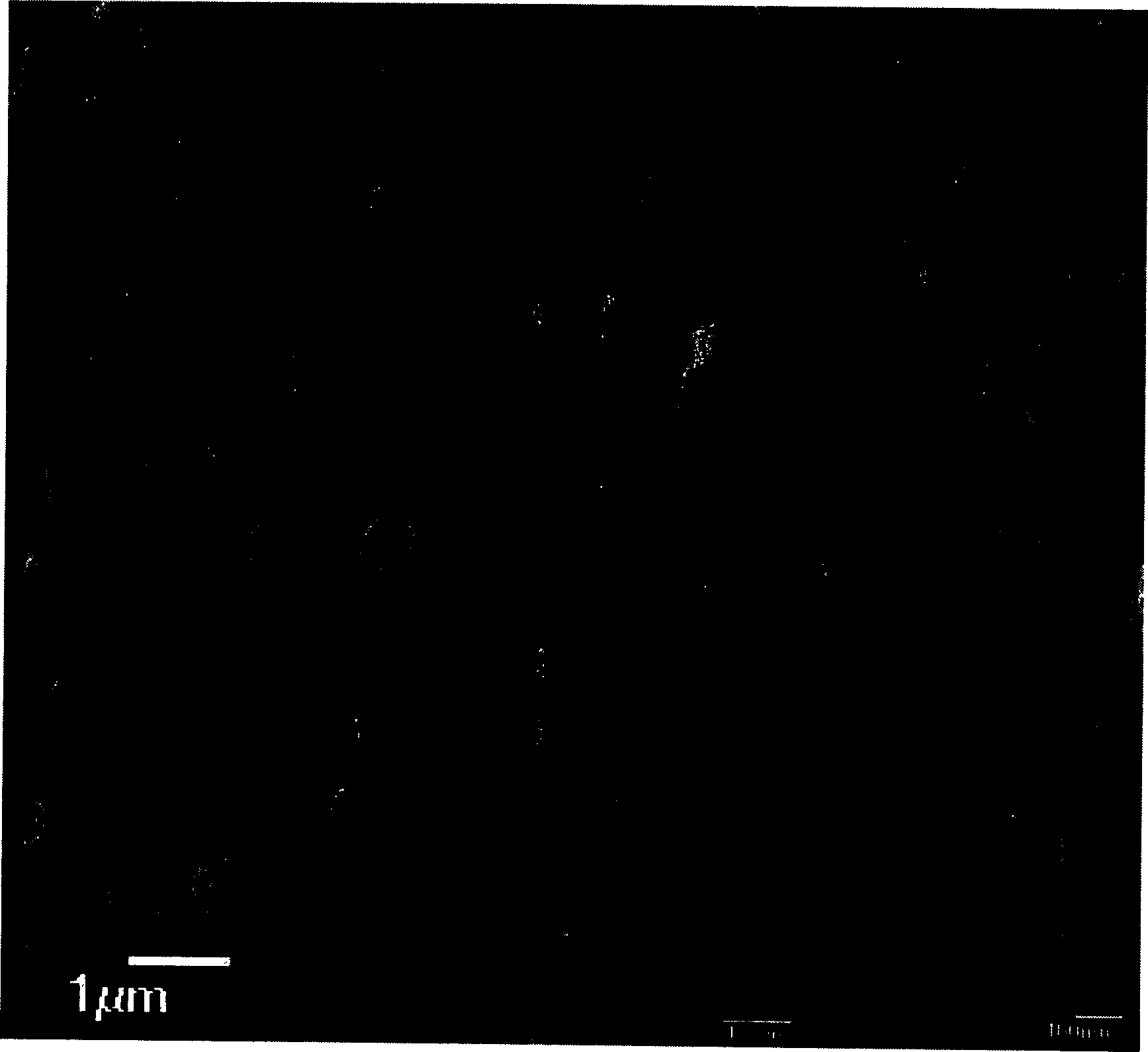 Preparation process of zinc oxide bar shape single crystal nano-probe