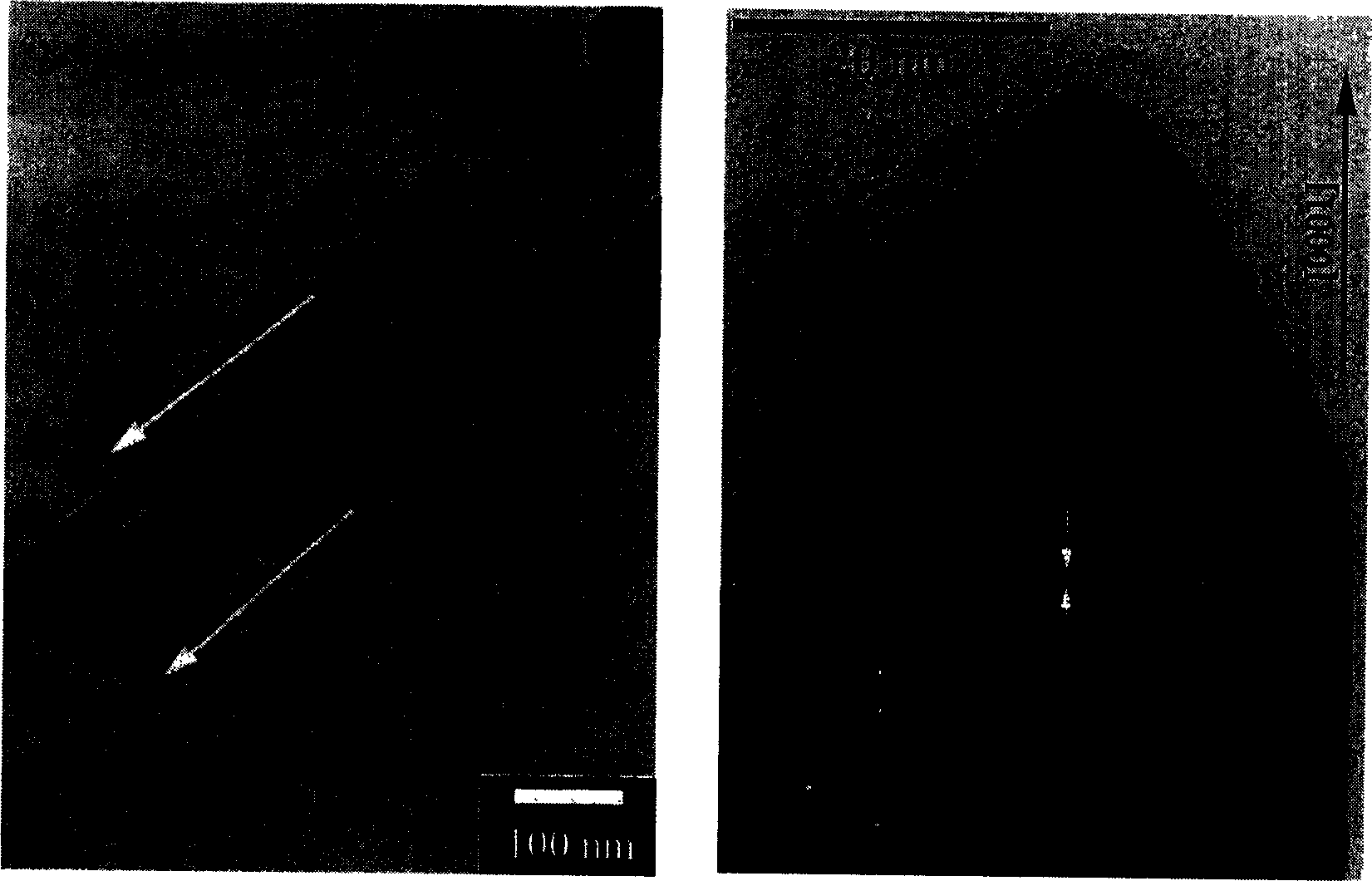 Preparation process of zinc oxide bar shape single crystal nano-probe