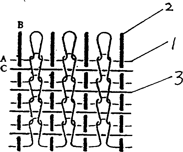 Double axial weft-knitted fabric, its knitting method and warp and weft feeding device of special flat-bed machine