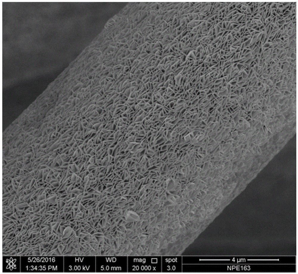 Functionalized polydopamine derived carbon layer coated carbon substrate preparation method and application