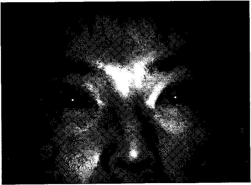 Particle filtering-based pupil tracking method in sight tracking system