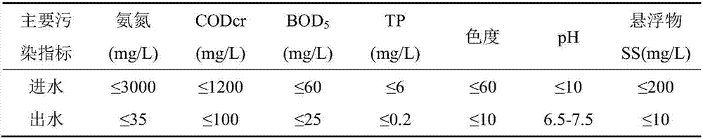 Treatment process of landfill municipal sludge press filtering tail water