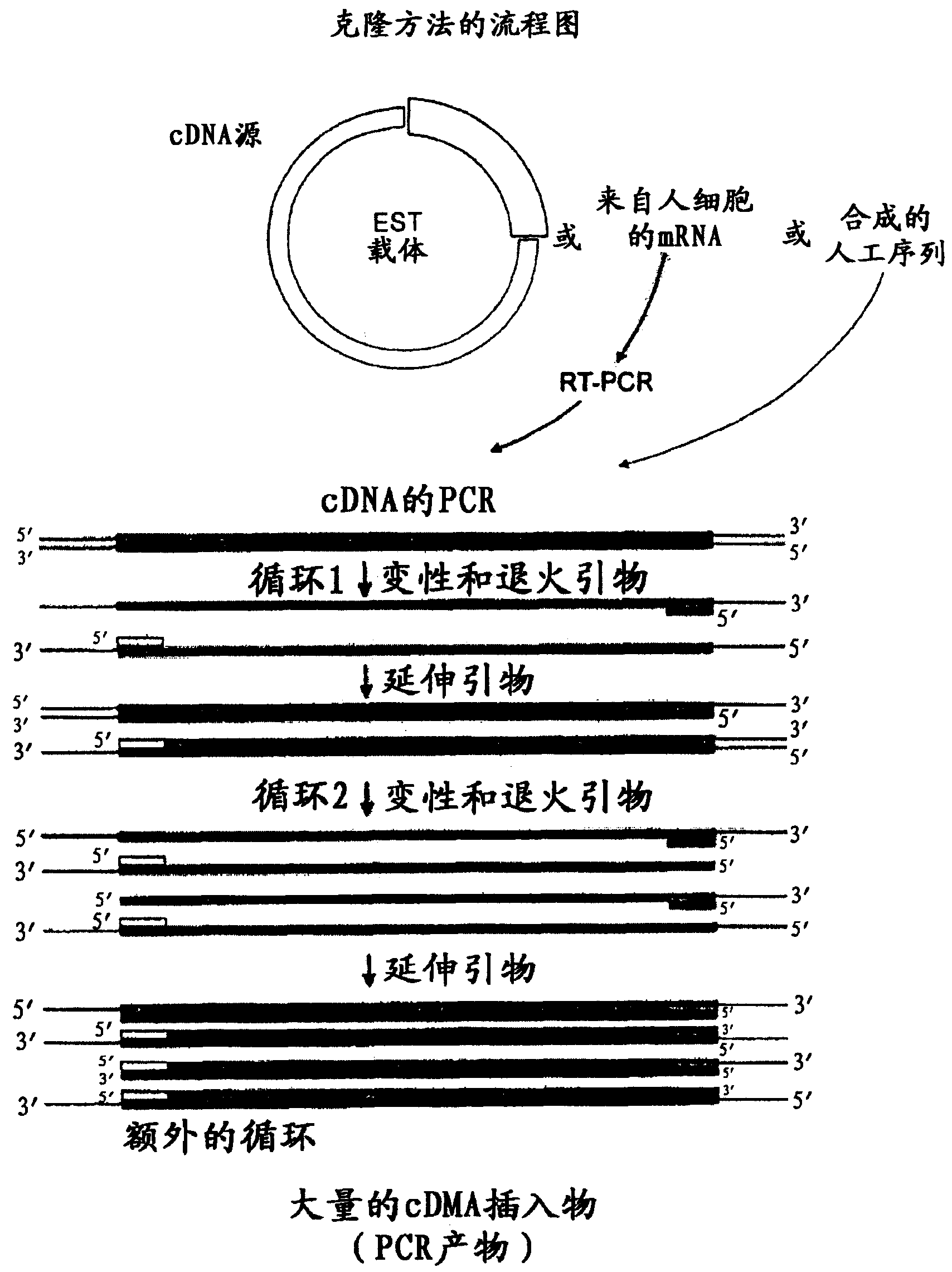 Molecules and chimeric molecules thereof