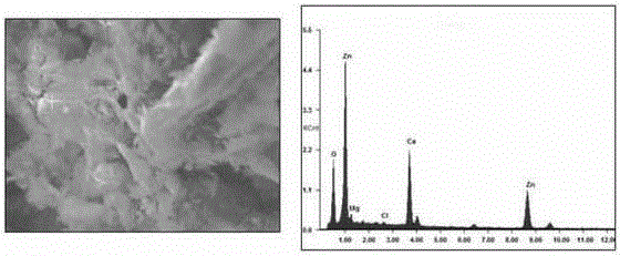 Expanded graphite composite heat storage material and its preparation method and application