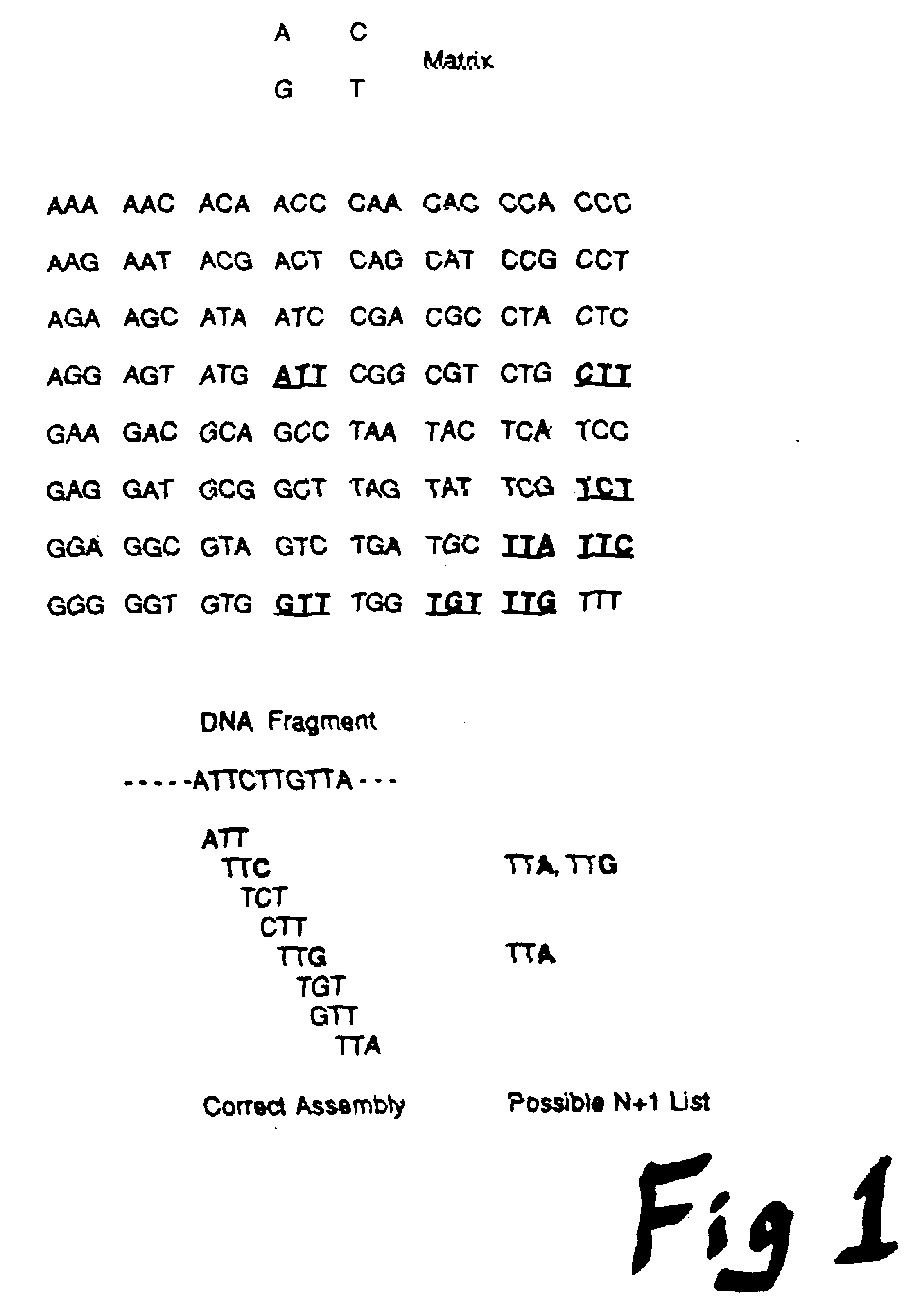 Method and apparatus for conducting an array of chemical reactions on a support surface