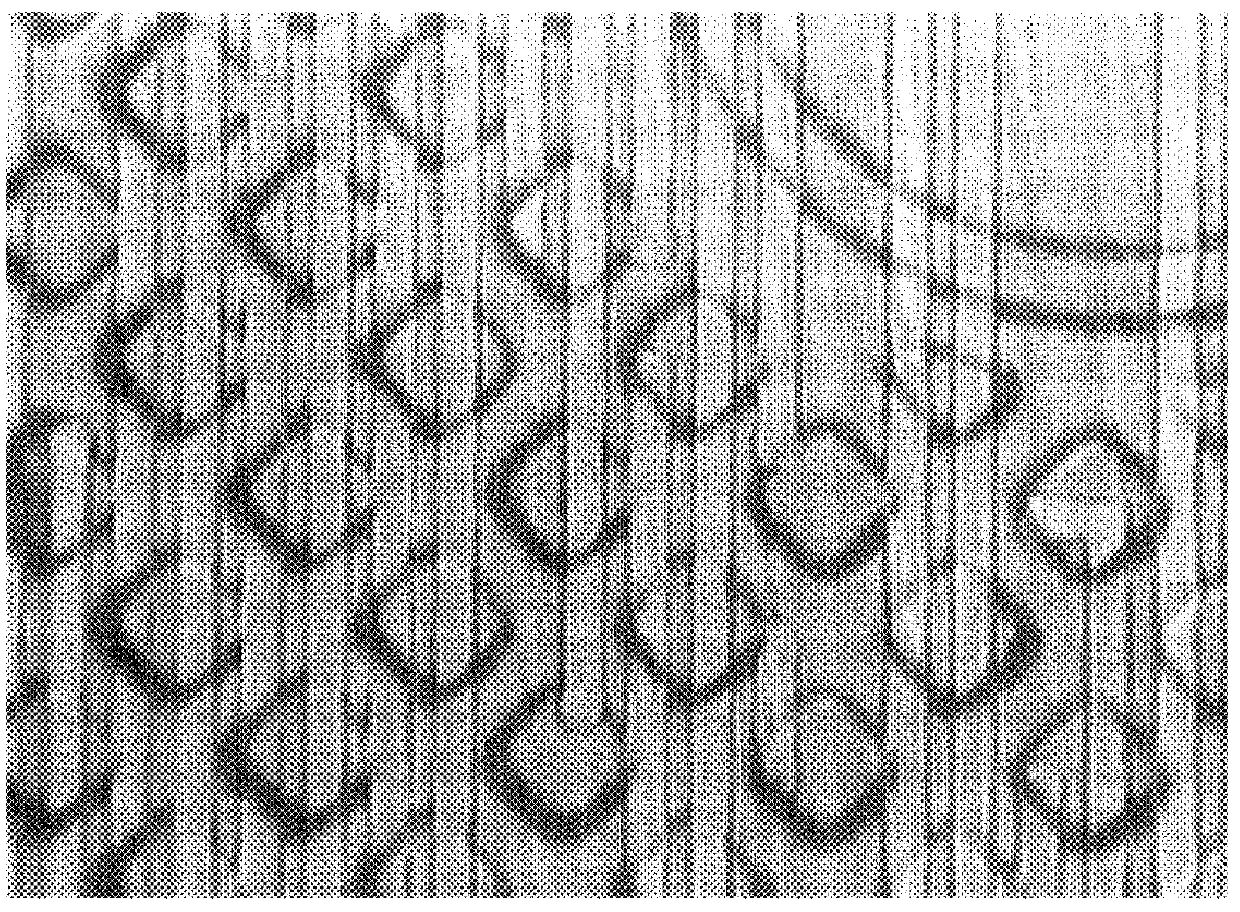 Method of and apparatus for automatic high-speed optical inspection of semi-conductor structures and the like through fluorescent photoresist inspection