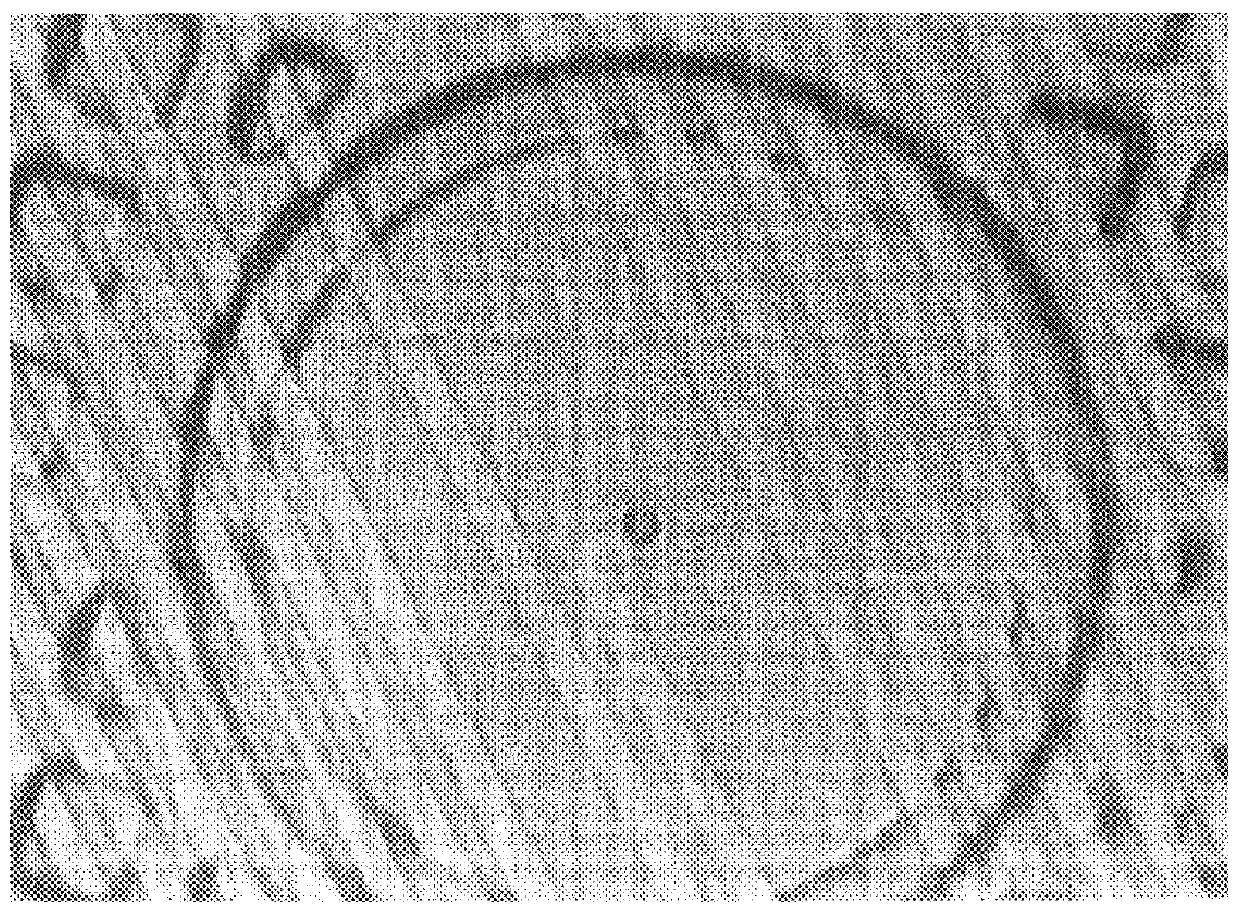 Method of and apparatus for automatic high-speed optical inspection of semi-conductor structures and the like through fluorescent photoresist inspection