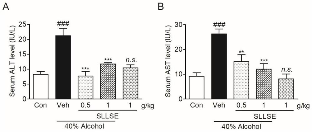 Application of solanum lycopersicum stem and leaf extracts for treating alcohol induced liver injury