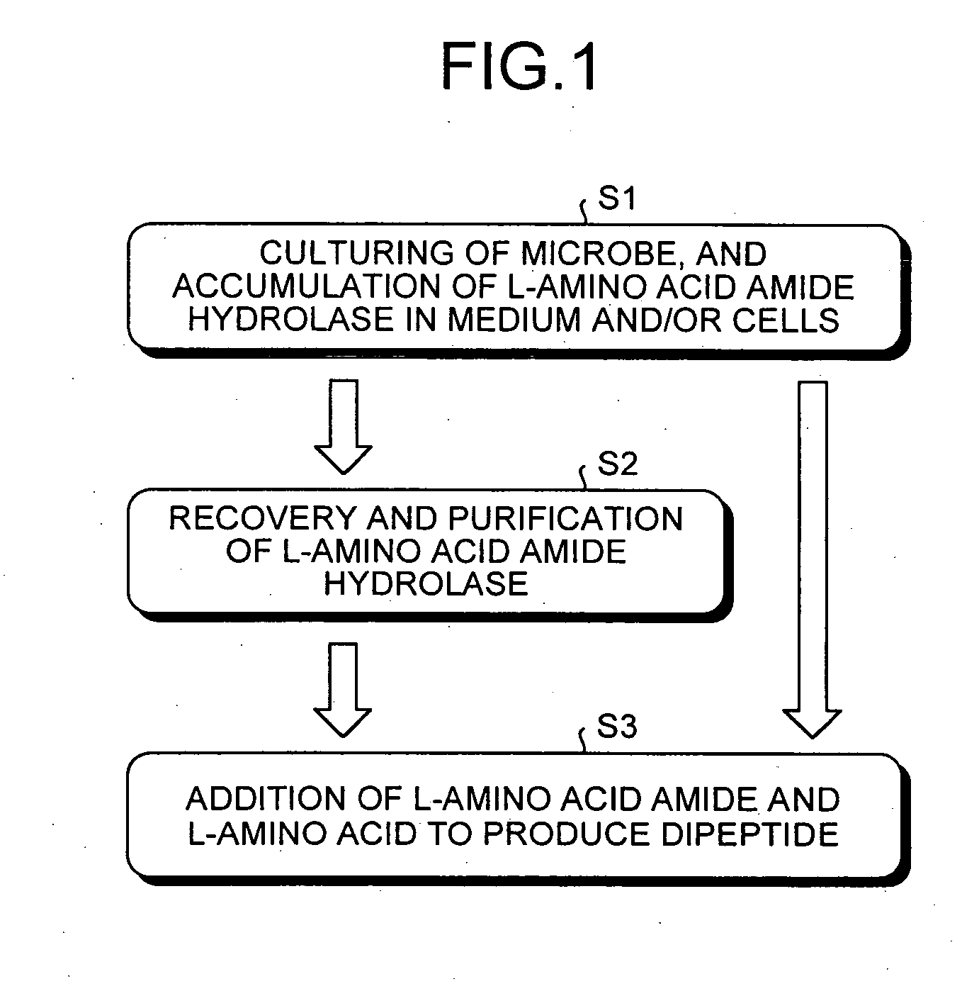 Dipeptide production method, L-amino acid amide hydrolase used therein, and production method of L-amino acid amide hydrolase