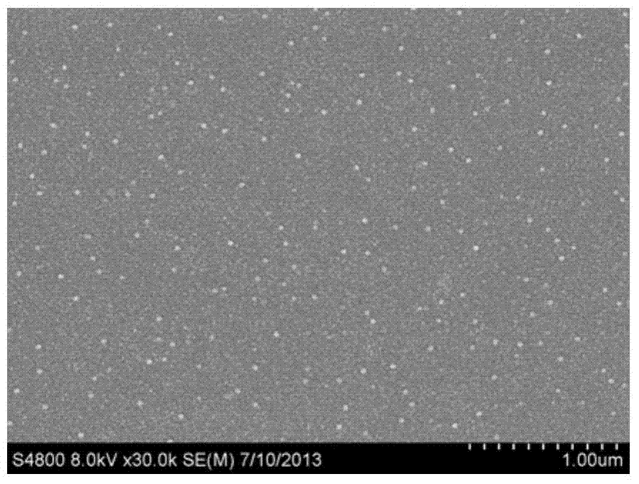 Noble metal ceramic film and preparation method thereof