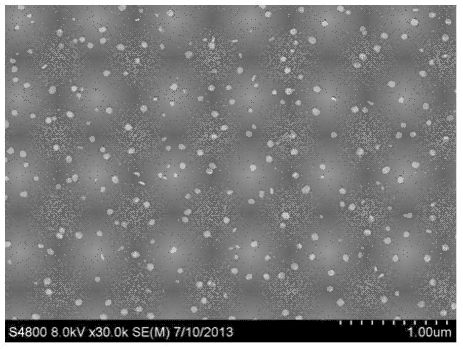 Noble metal ceramic film and preparation method thereof