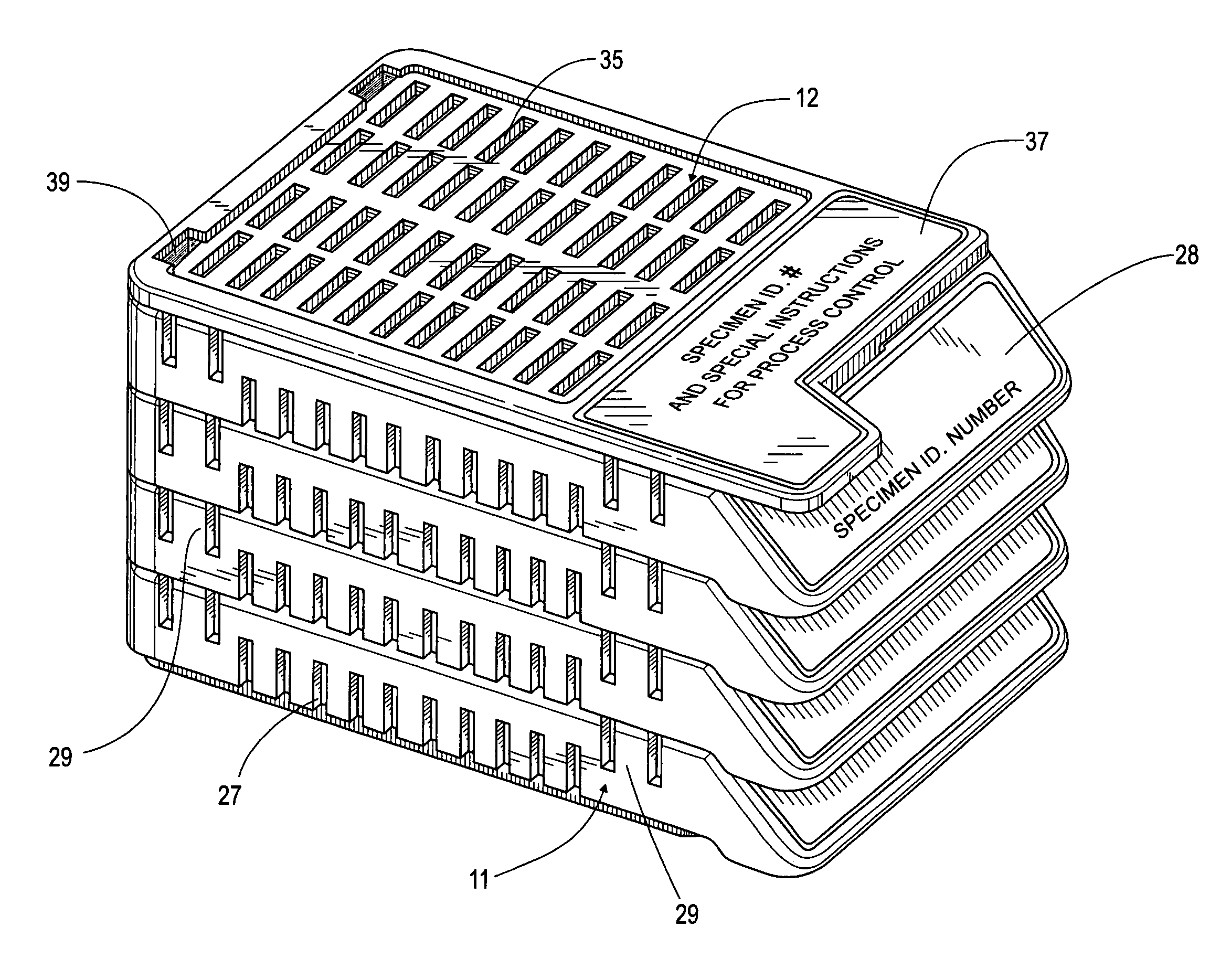 Apparatus and method for preparing tissue samples for histological examination