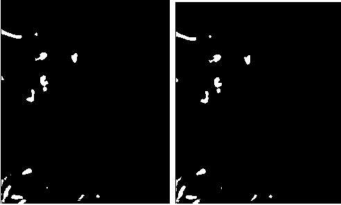 Composition applicable to protecting color of salt roasted chicken and production method for salt roasted chicken with stable color and luster