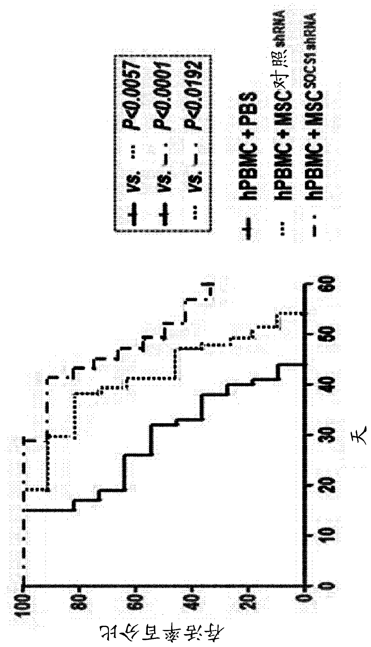 Method for selecting high-efficacy stem cell by using downregulation in expression or activity of socs