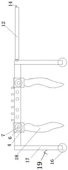 Multifunctional anti-scratching emergency animal first-aid table and animal viewing fixing method