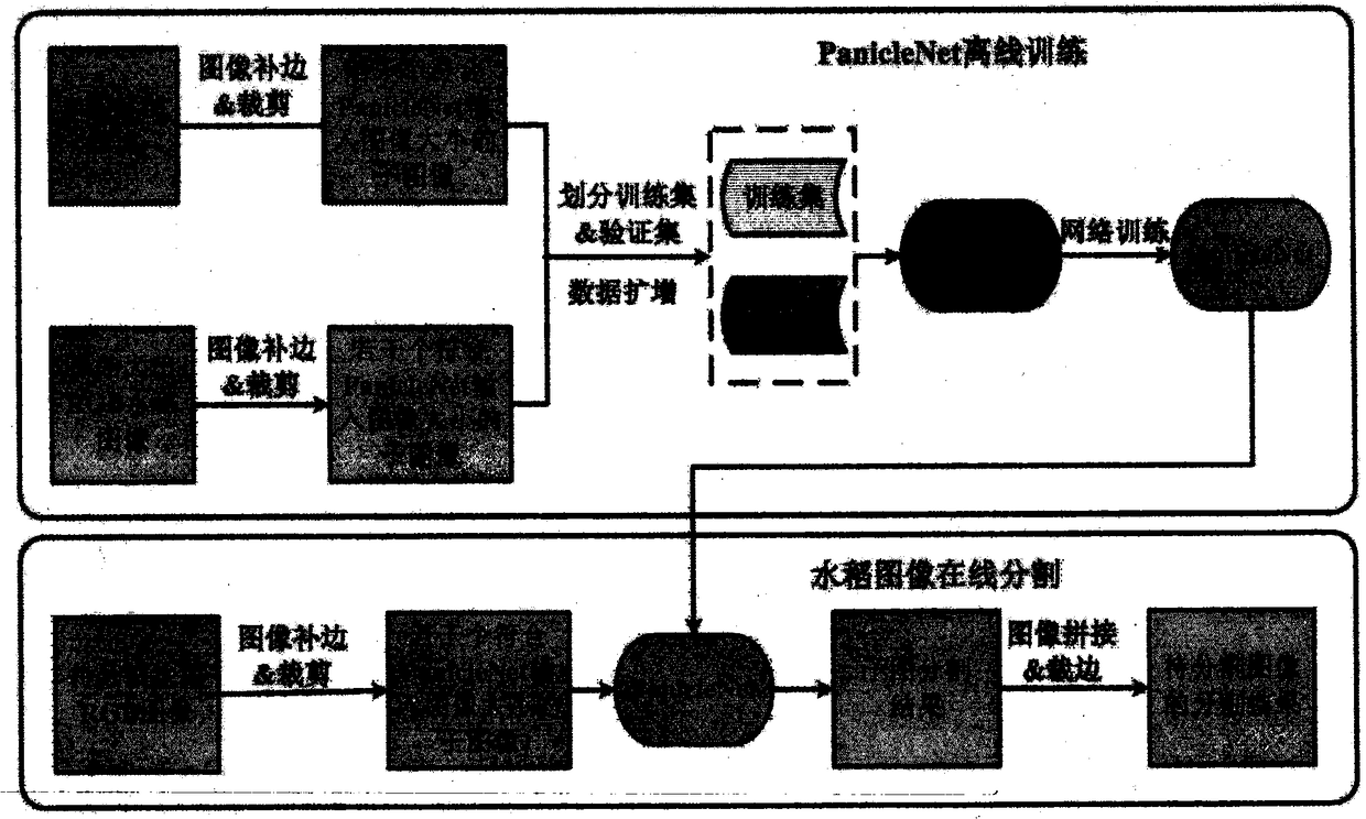 Deep fully-convolutional neural network-based fast segmentation method of field rice panicles