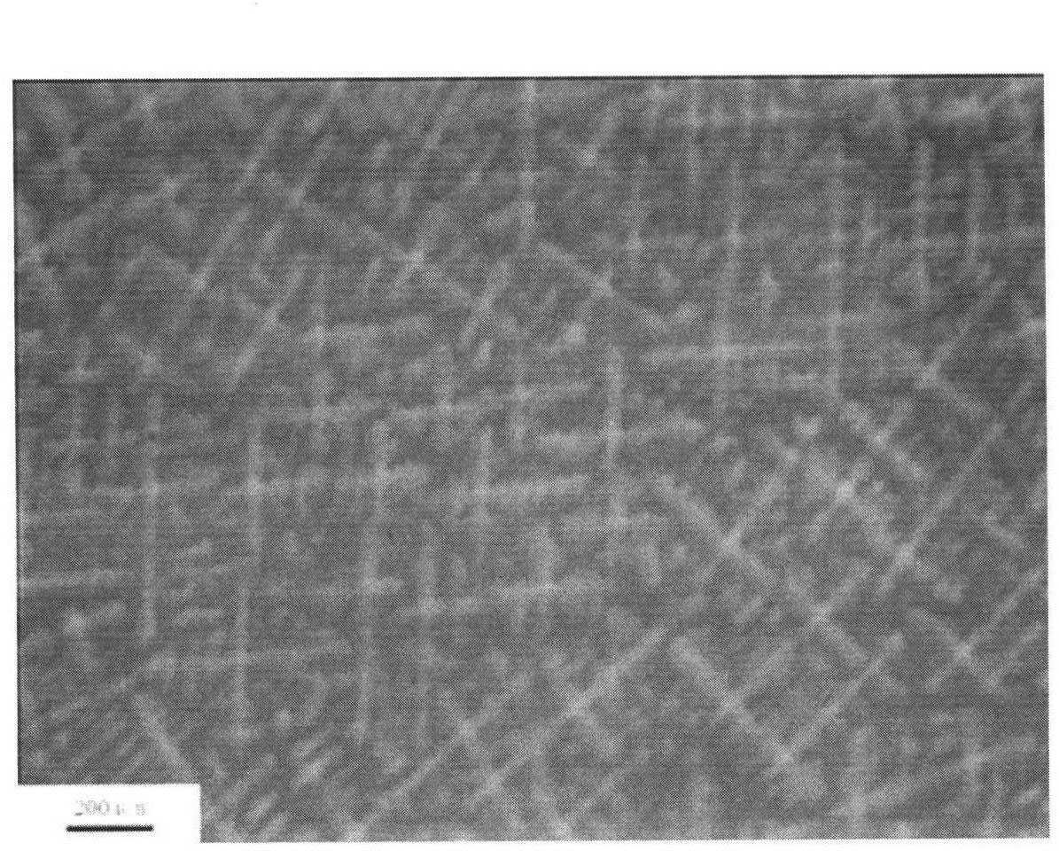 Austenite corrosion-resisting nickel-based casting alloy and manufacturing process thereof