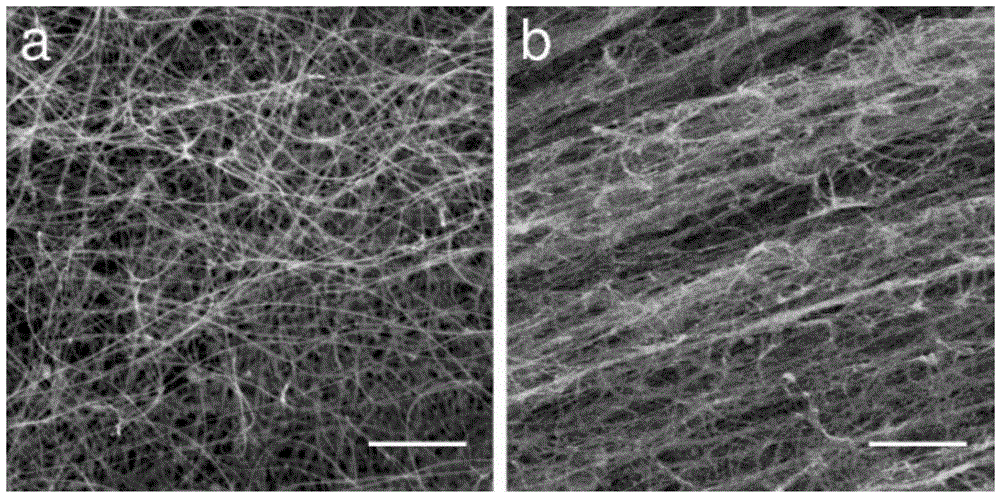 Carbon nano-tube network/polymer composite material and preparation method thereof