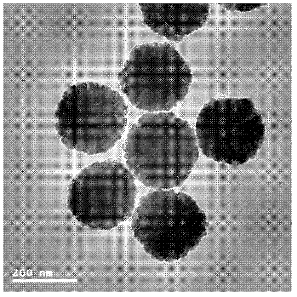 Preparation method of temperature sensitive magnetic western-blotting nanosphere