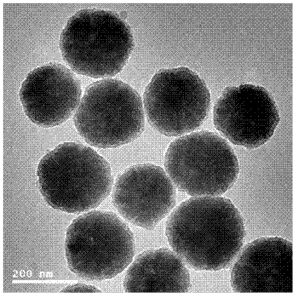 Preparation method of temperature sensitive magnetic western-blotting nanosphere