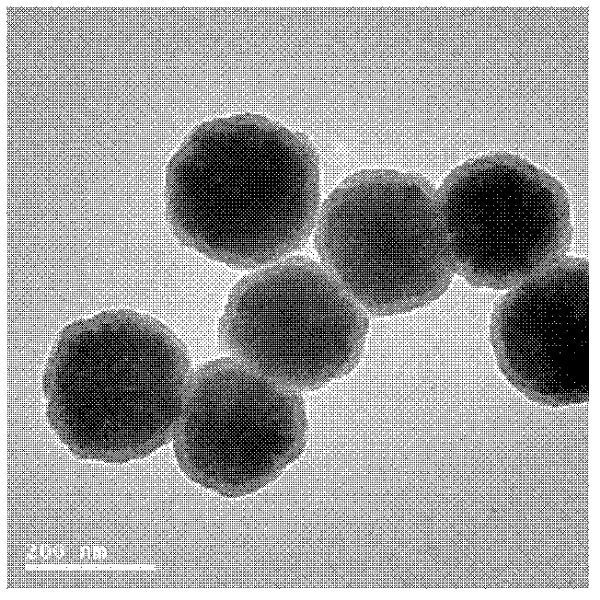 Preparation method of temperature sensitive magnetic western-blotting nanosphere