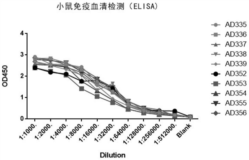 CD47 antibody or its immunologically active fragment and its application