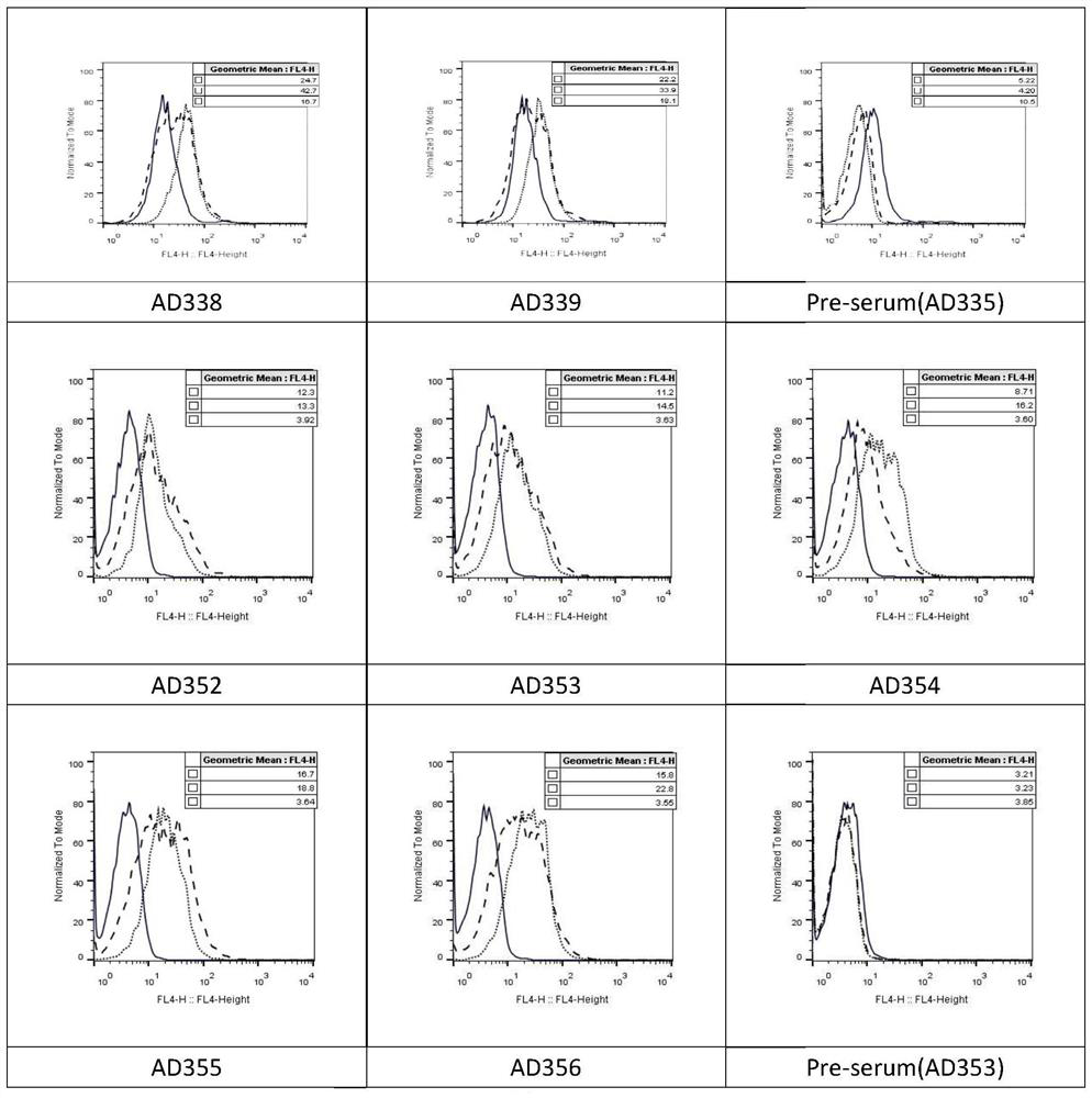 CD47 antibody or its immunologically active fragment and its application