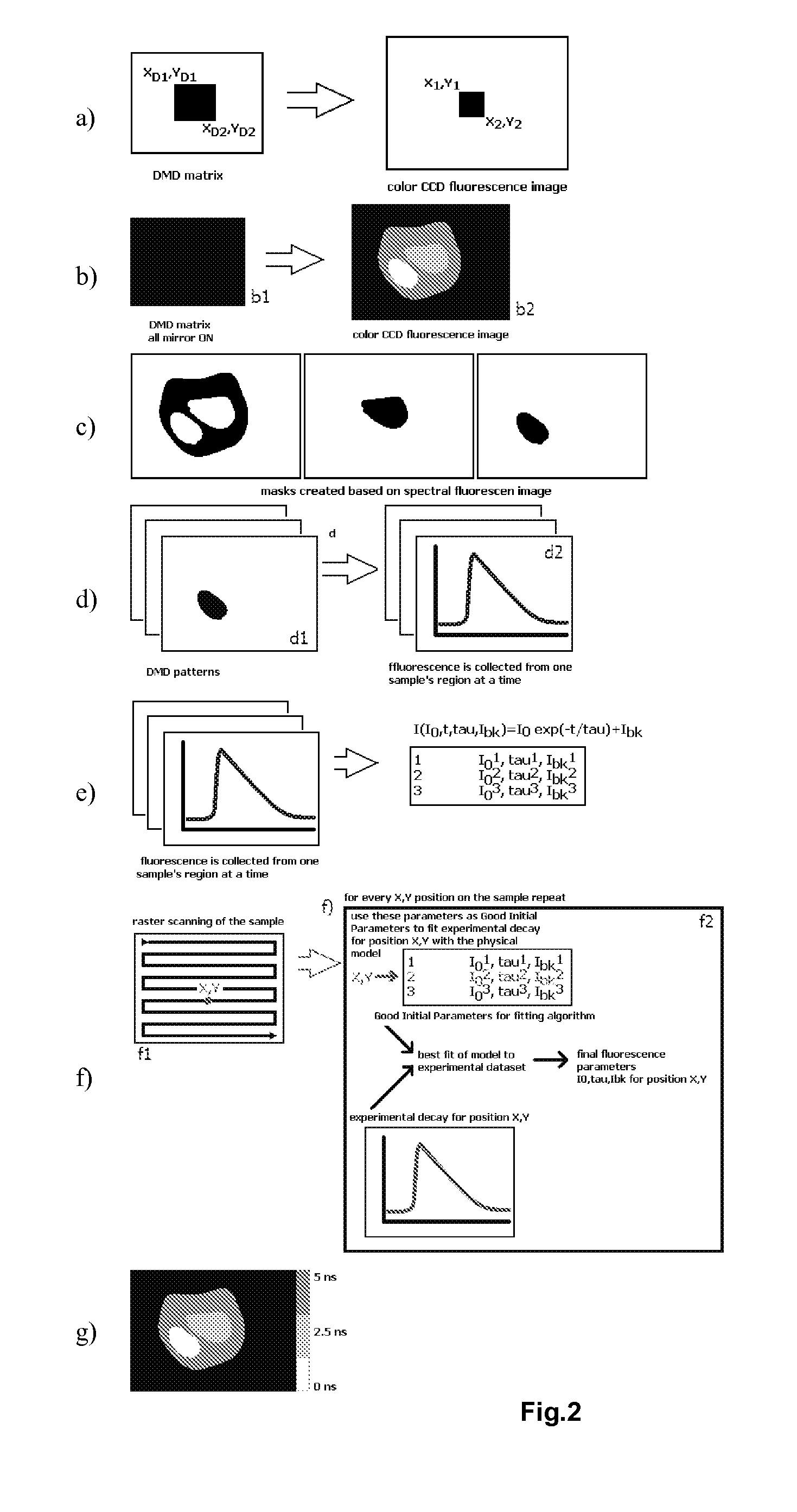 Method of fluorescence imaging