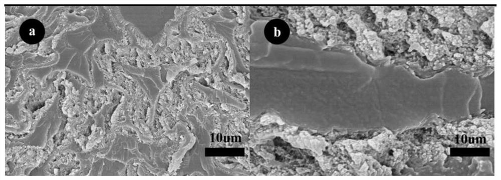 Method for preparing elastic wood based on ultraviolet light initiated graft polymerization