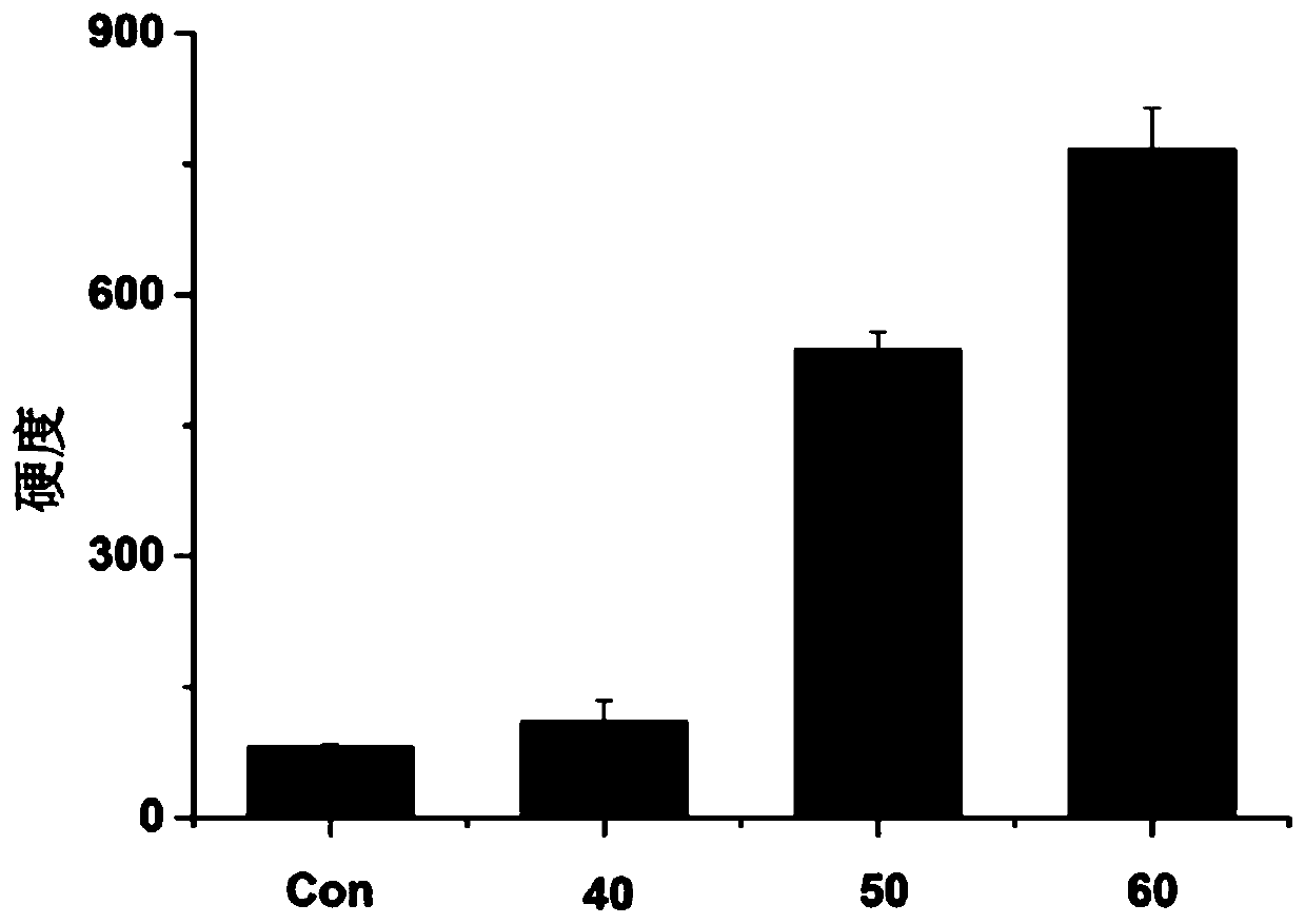 SVC-prefabricated sturgeon product processing method based on sous vide cooking technology