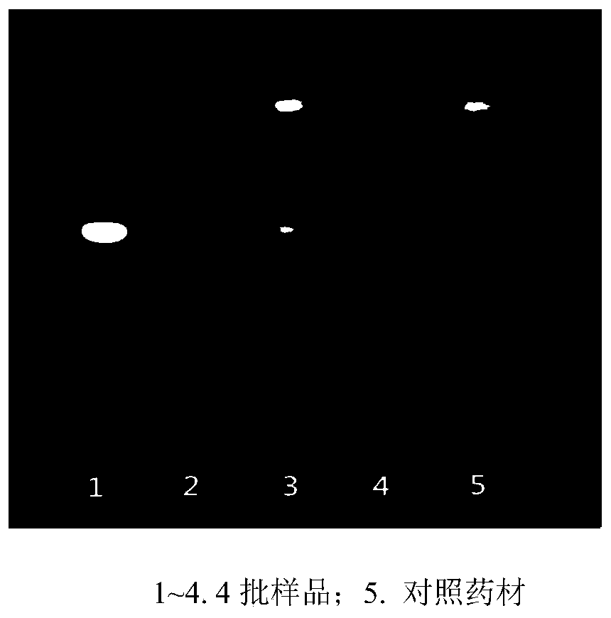 Thin-layer chromatography identification of Solamum melongena and quality control method thereof