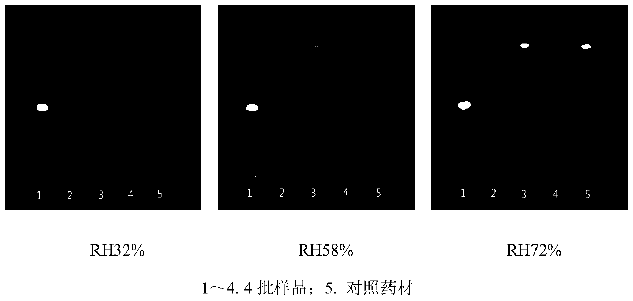 Thin-layer chromatography identification of Solamum melongena and quality control method thereof