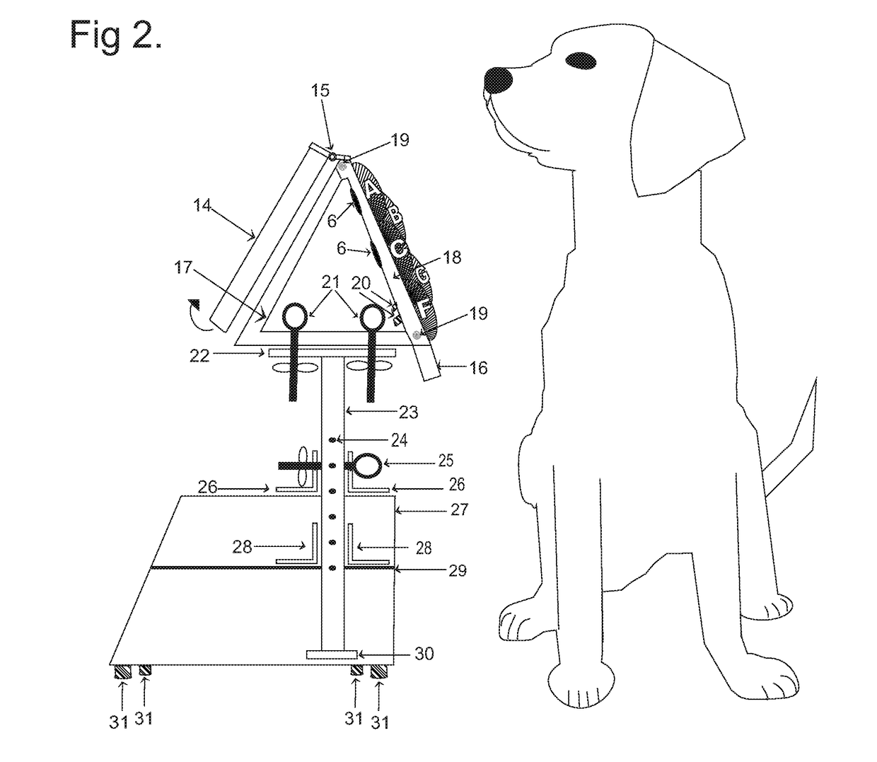 Functional Communication Lexigram Device and Training Method for Animal and Human