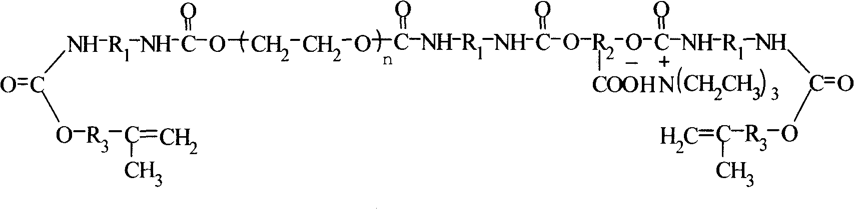 Ultraviolet light solidfication water polyurethane acrylate paint resin and its preparation method