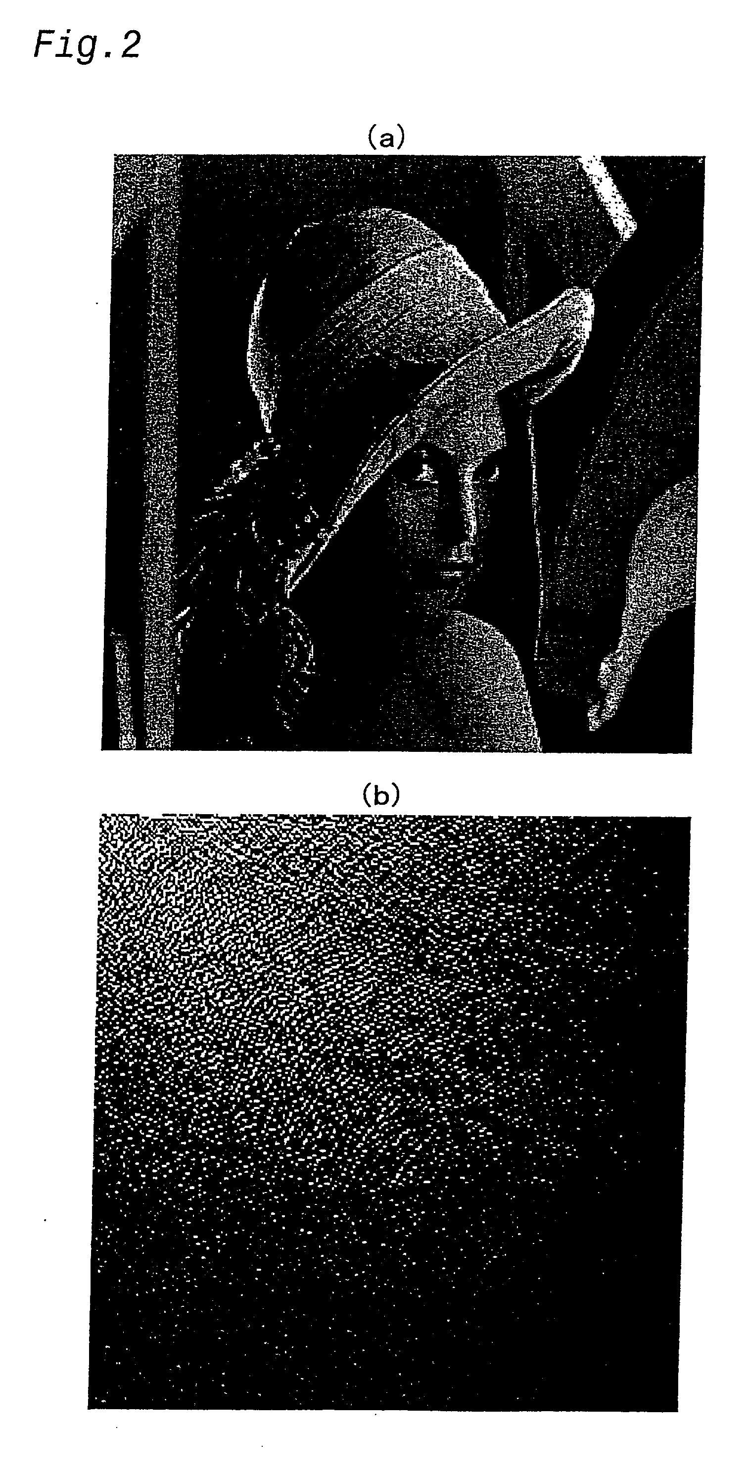 Technique of embedding and detecting digital watermark