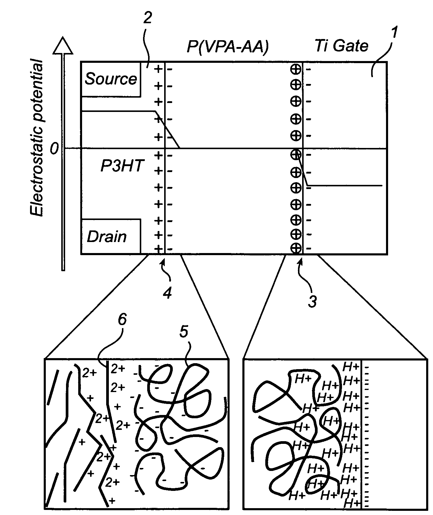 Transistor with large ion-complexes in electrolyte layer