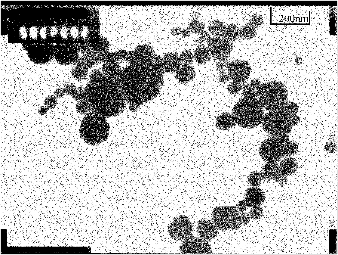 Nano silver capable of being scattered in hydrophobic system and preparation method and application thereof