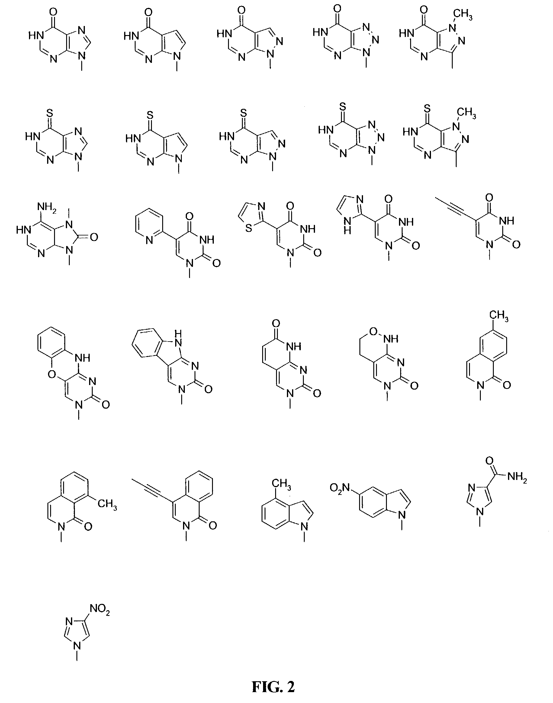 PNA monomer and precursor