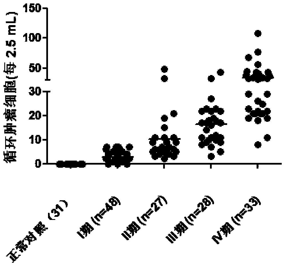 Reagent for detection of ROR1 protein of circulating tumor cells in peripheral blood and application thereof