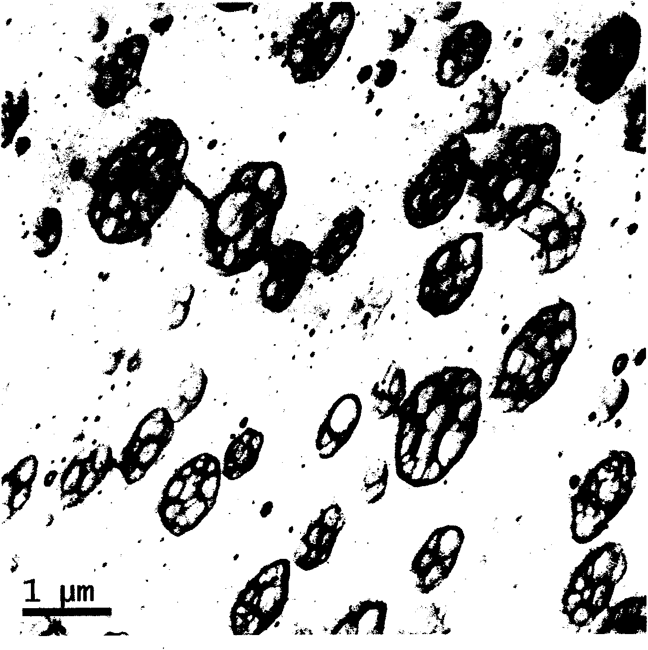 Compound rubber modified styrene series resin composition and preparation method thereof