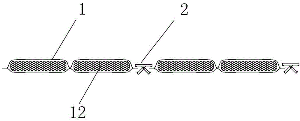 Spring clips, living article containing capsule-core materials and preparation method of living article