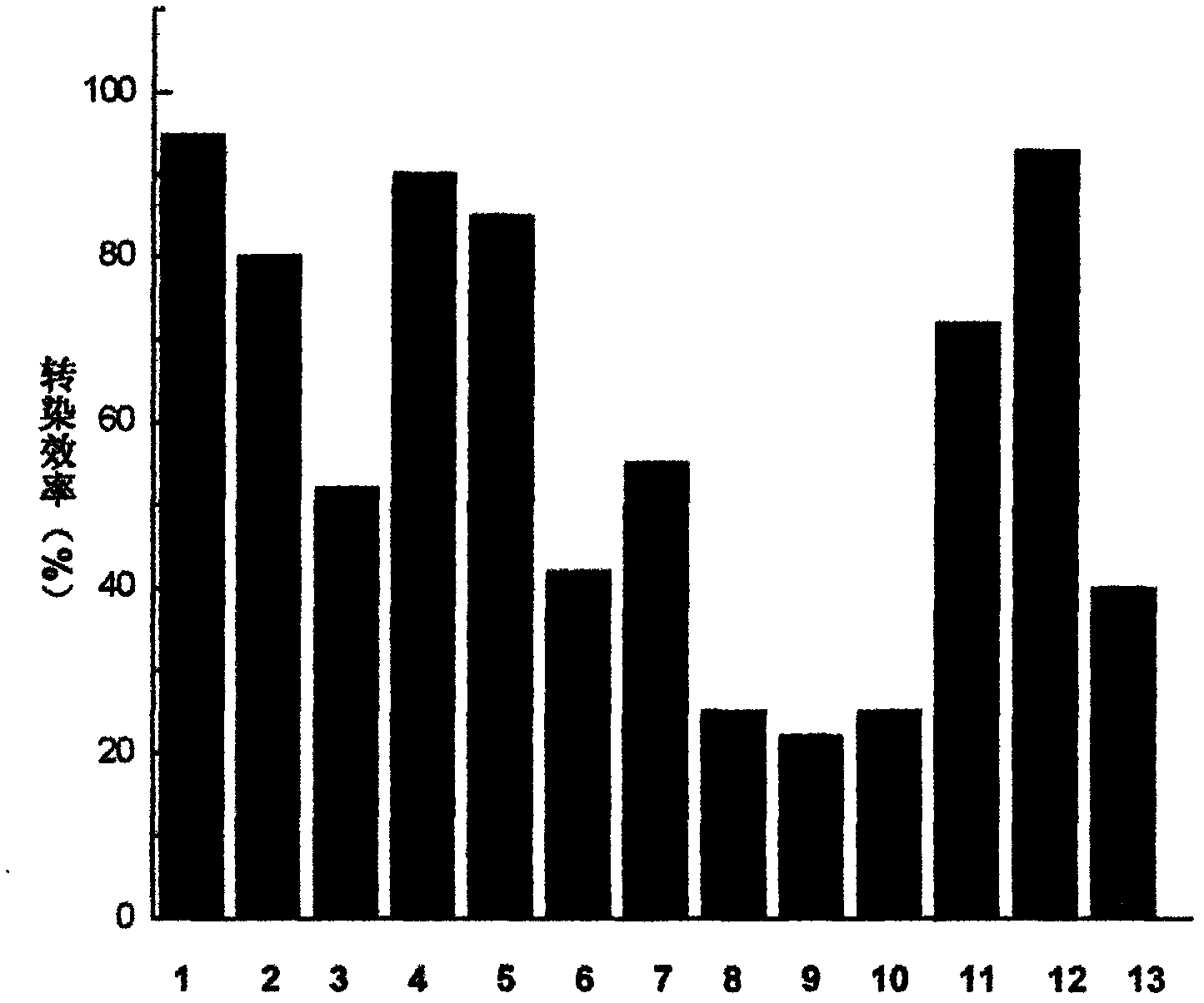 Multifunctional graphene gene vector and gene transfection reagent based on gene vector and preparation method thereof