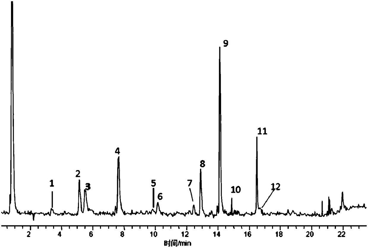 Scutellaria baicalensis flower extract as well as preparation method and application thereof